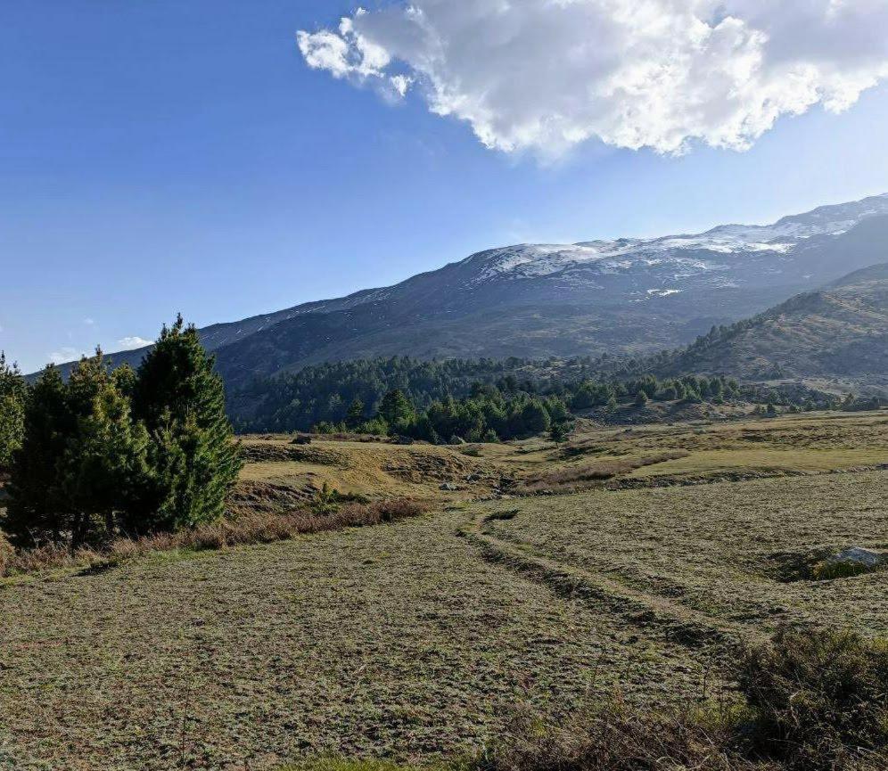 Fayul Retreat - India Highest Glamp And Ecoluxury Stay Kalpa Esterno foto