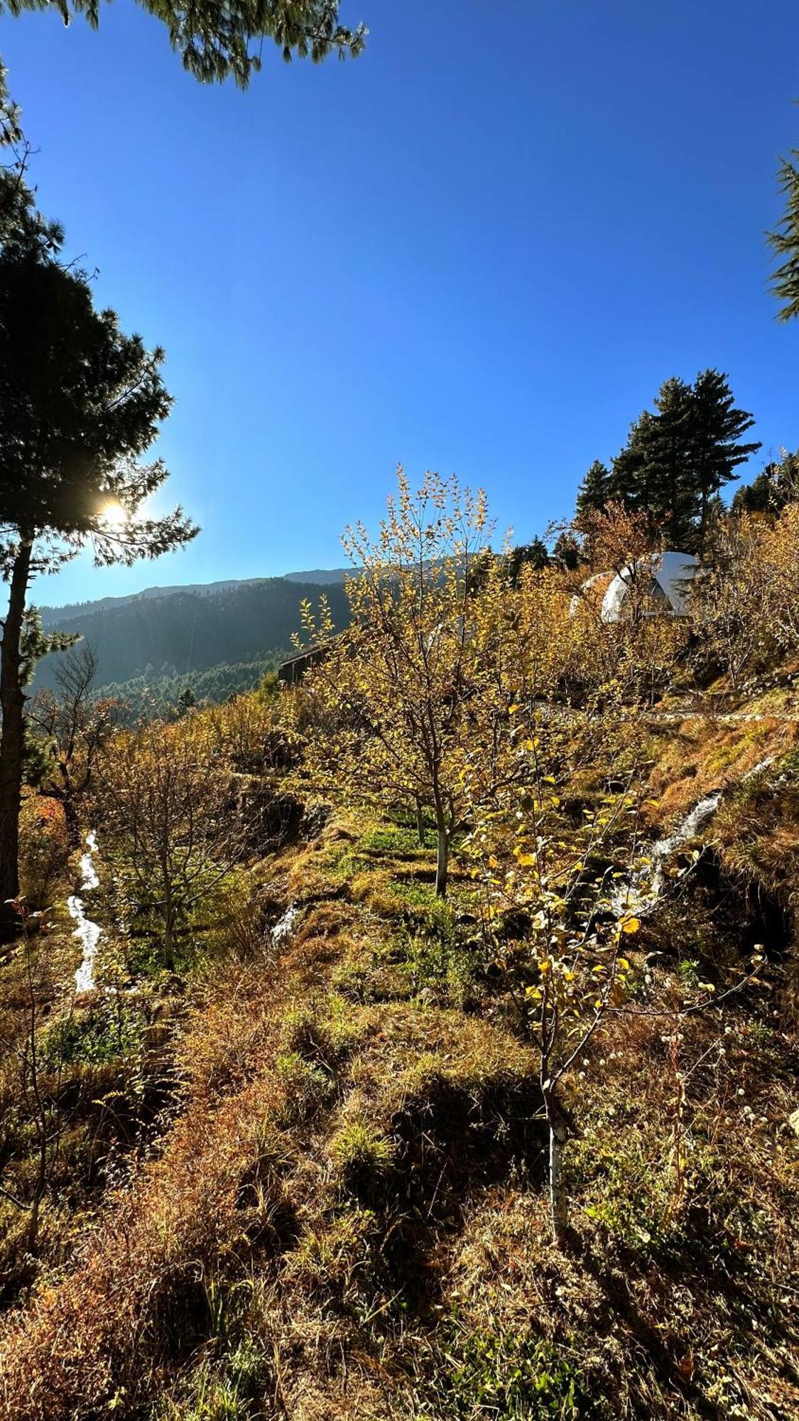 Fayul Retreat - India Highest Glamp And Ecoluxury Stay Kalpa Esterno foto
